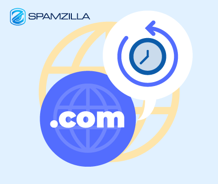 Domain Age Checker